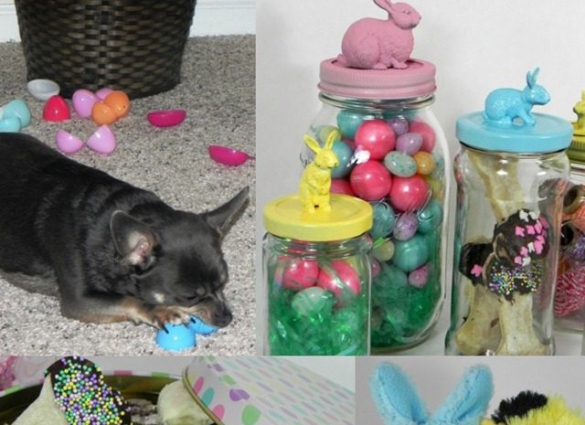 DIY Easter Ideas for Pets by IrresistiblePets.com