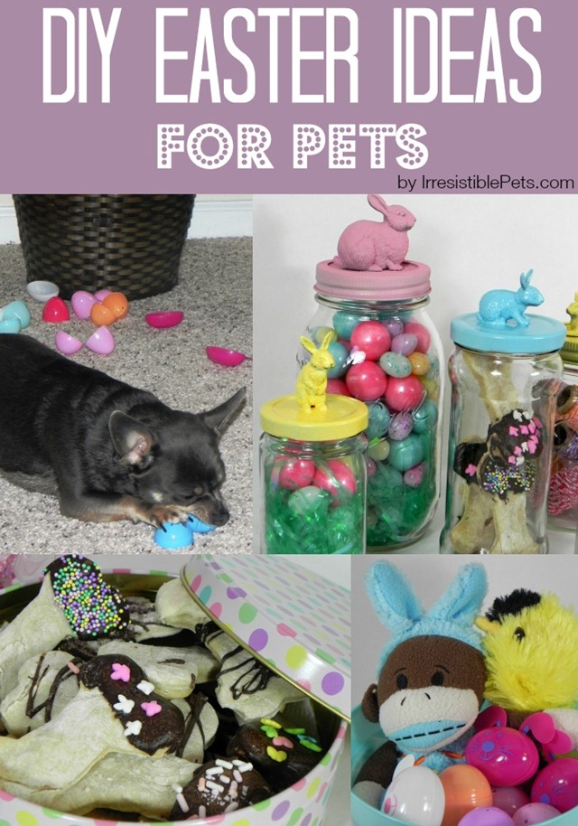 DIY Easter Ideas for Pets by IrresistiblePets.com